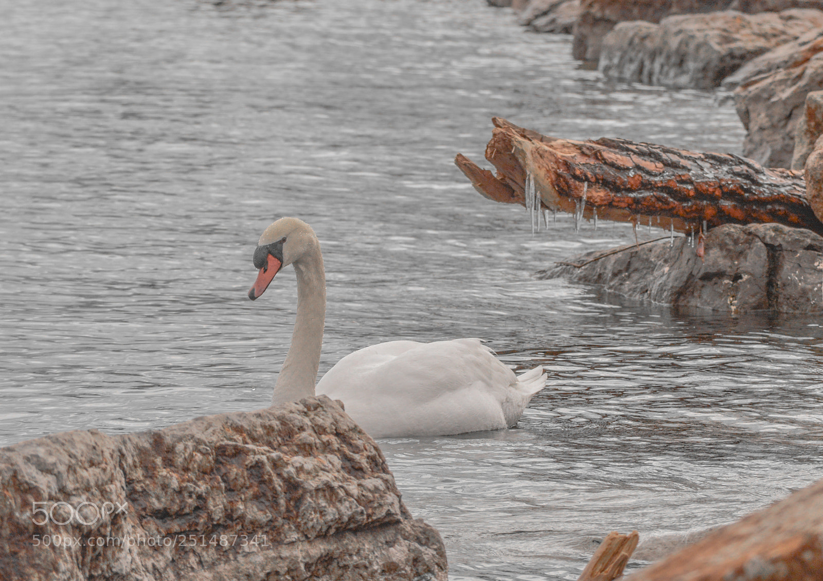 Nikon D3200 sample photo. Dsc photography