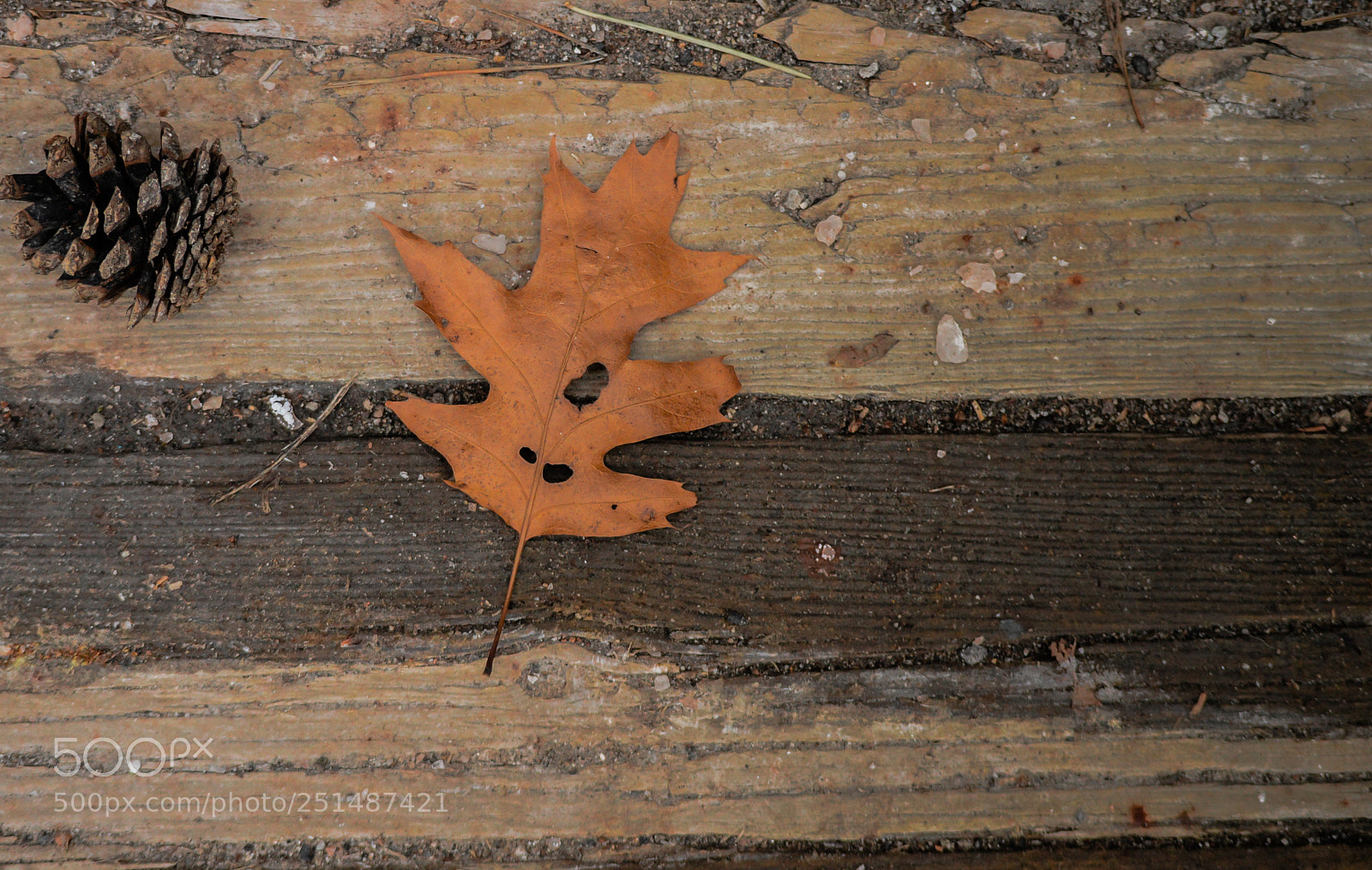 Nikon D3200 sample photo. Dsc photography