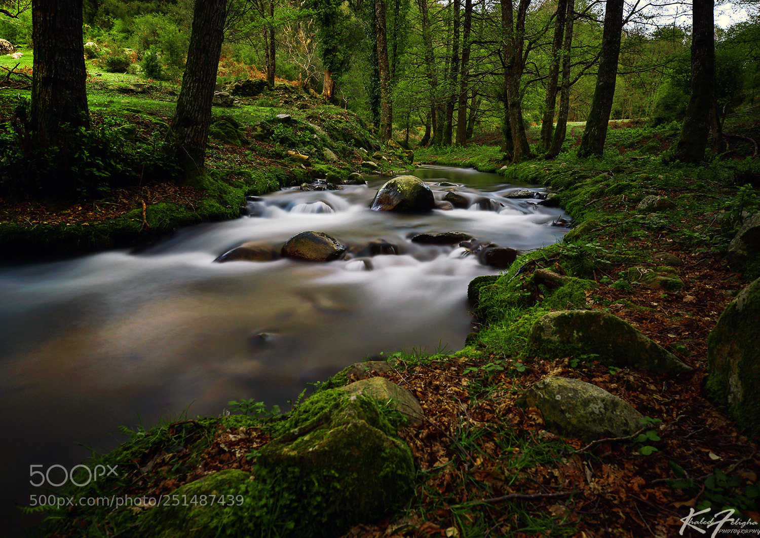 Nikon D610 sample photo. The green-land photography