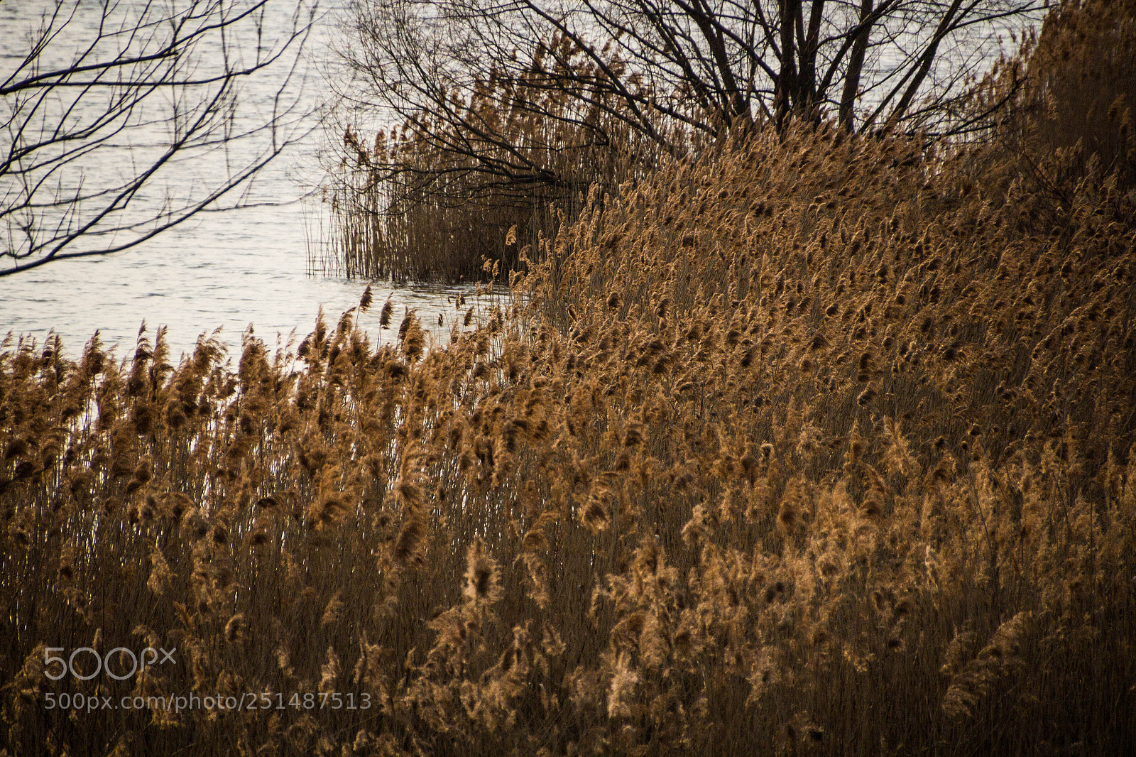Canon EOS 600D (Rebel EOS T3i / EOS Kiss X5) sample photo. Abendstimmung photography