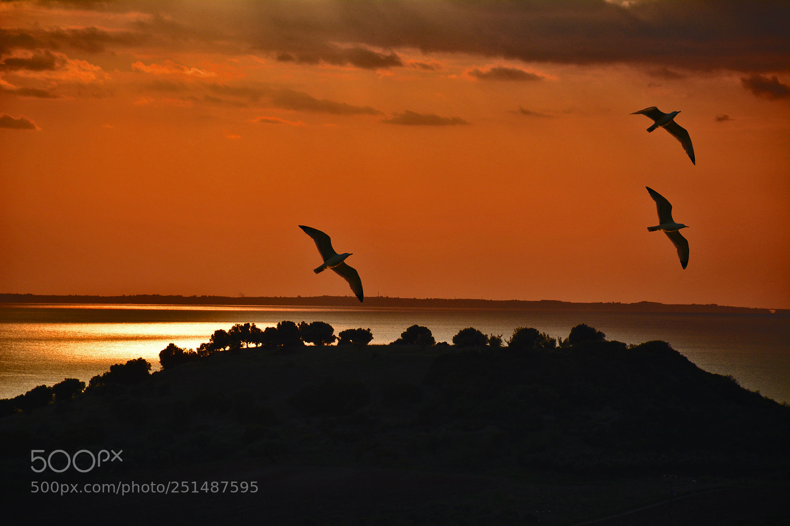 Nikon D5200 sample photo. Sunset at the sea photography
