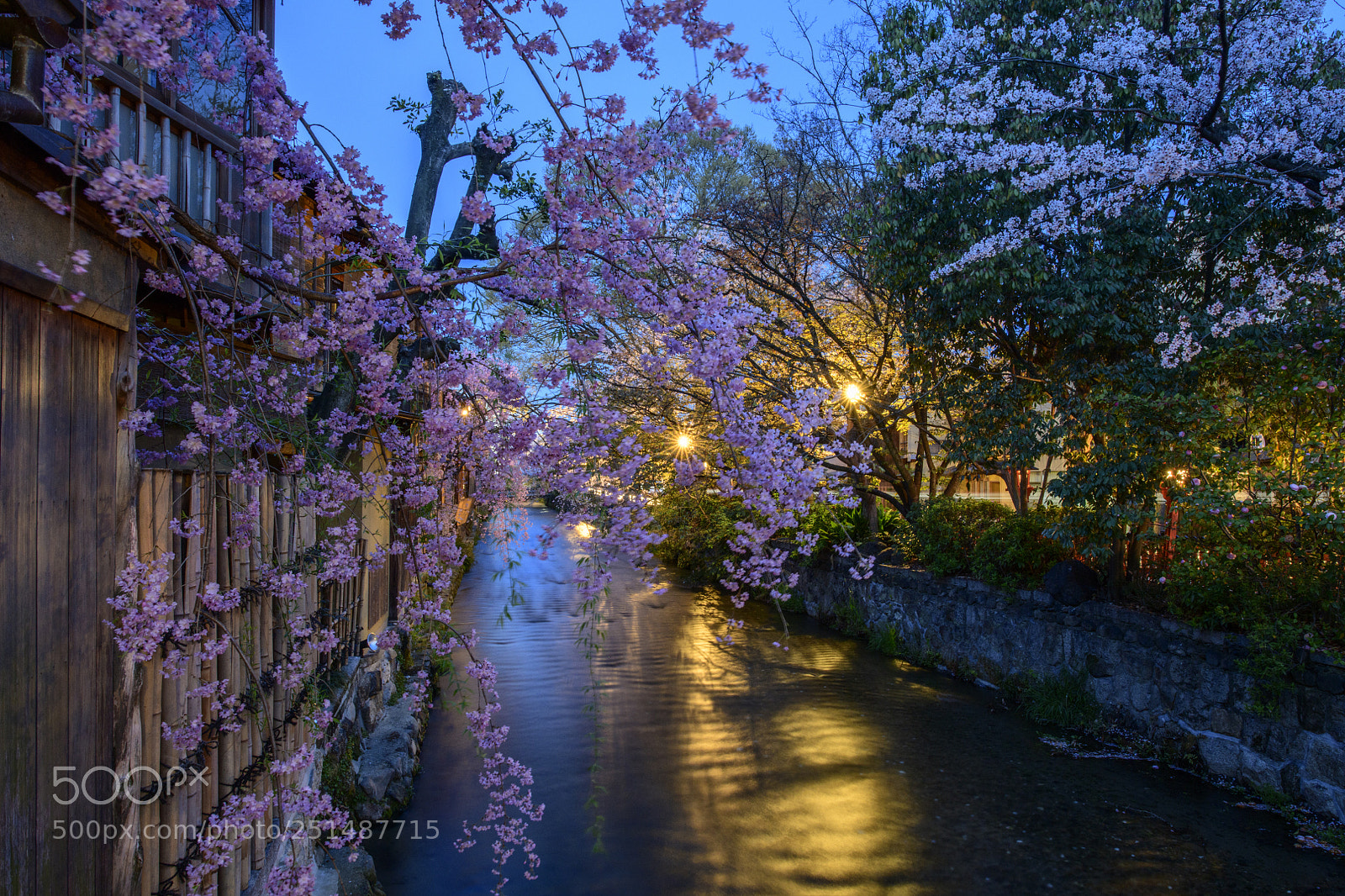 Nikon D850 sample photo. The spring morning, kyoto photography