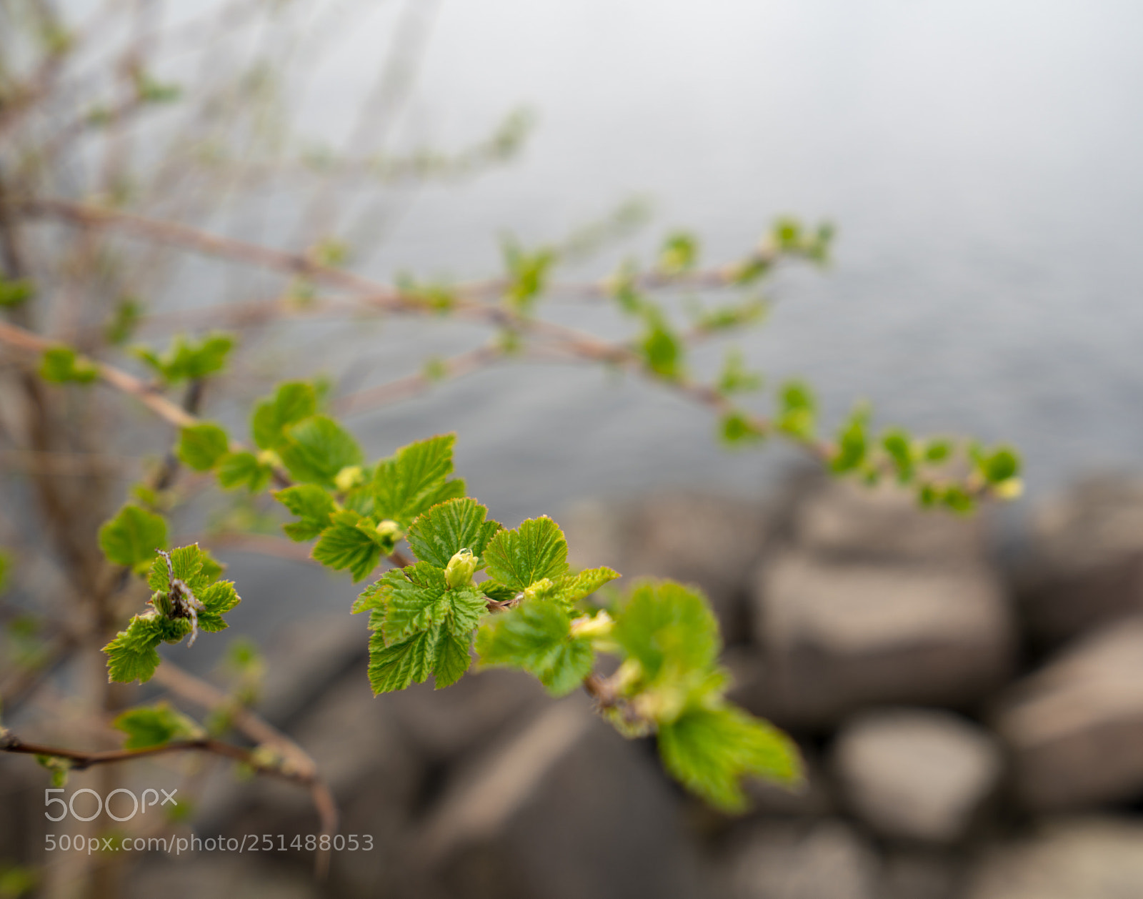 Sony a7R III sample photo. Ar photography