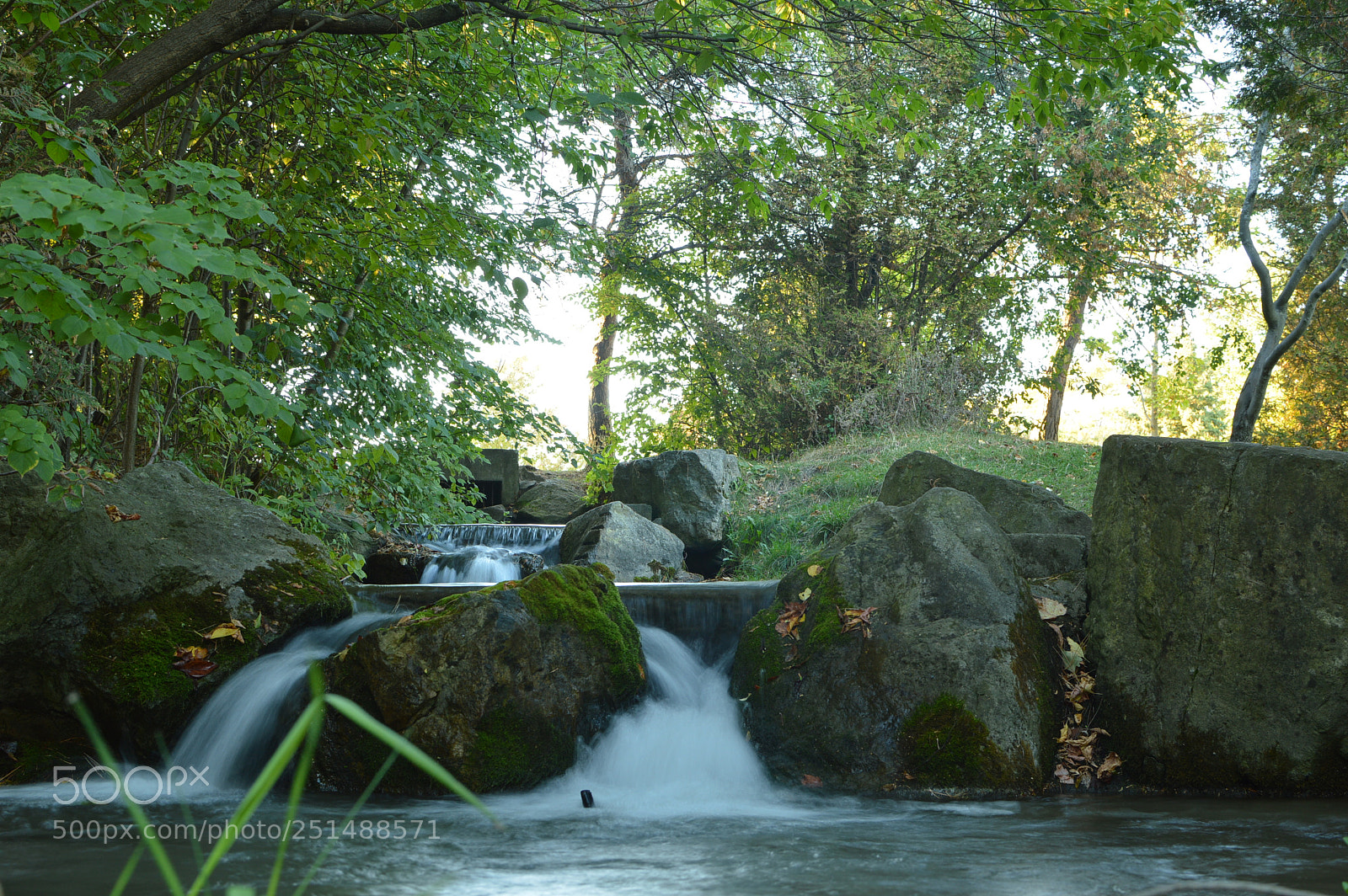 Nikon D3200 + Nikon AF-S DX Nikkor 35mm F1.8G sample photo. Dsc photography