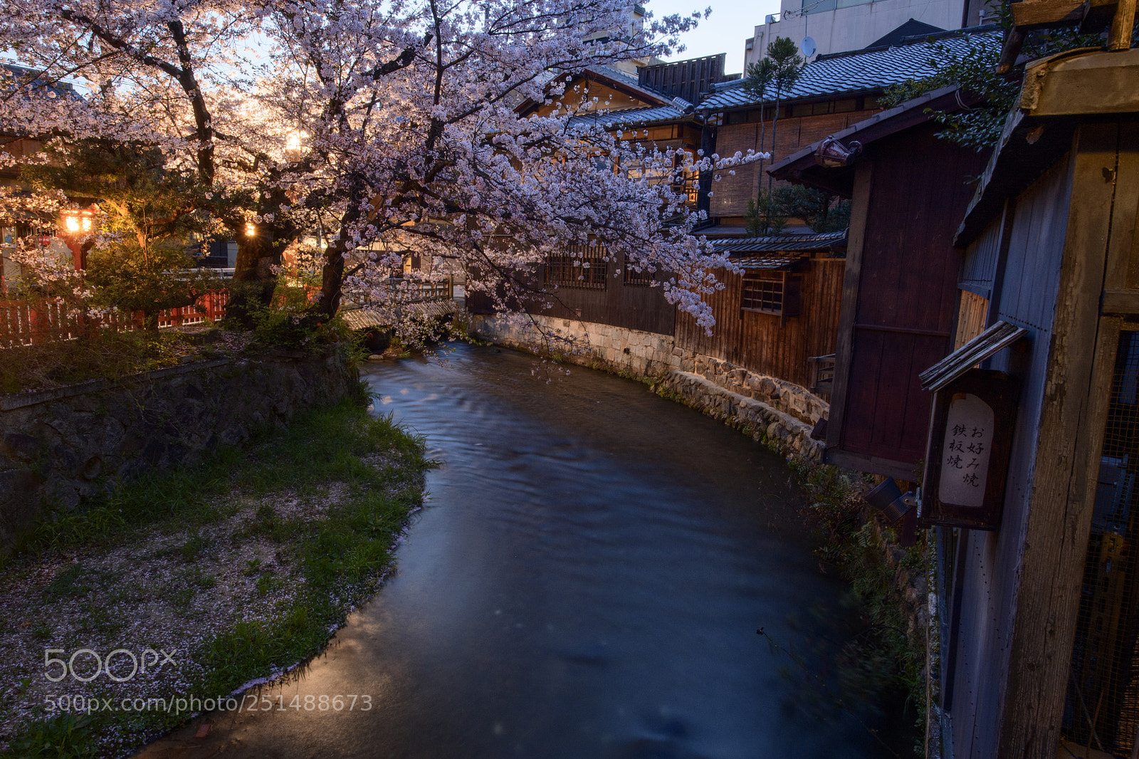 Nikon D850 sample photo. The spring morning, kyoto photography