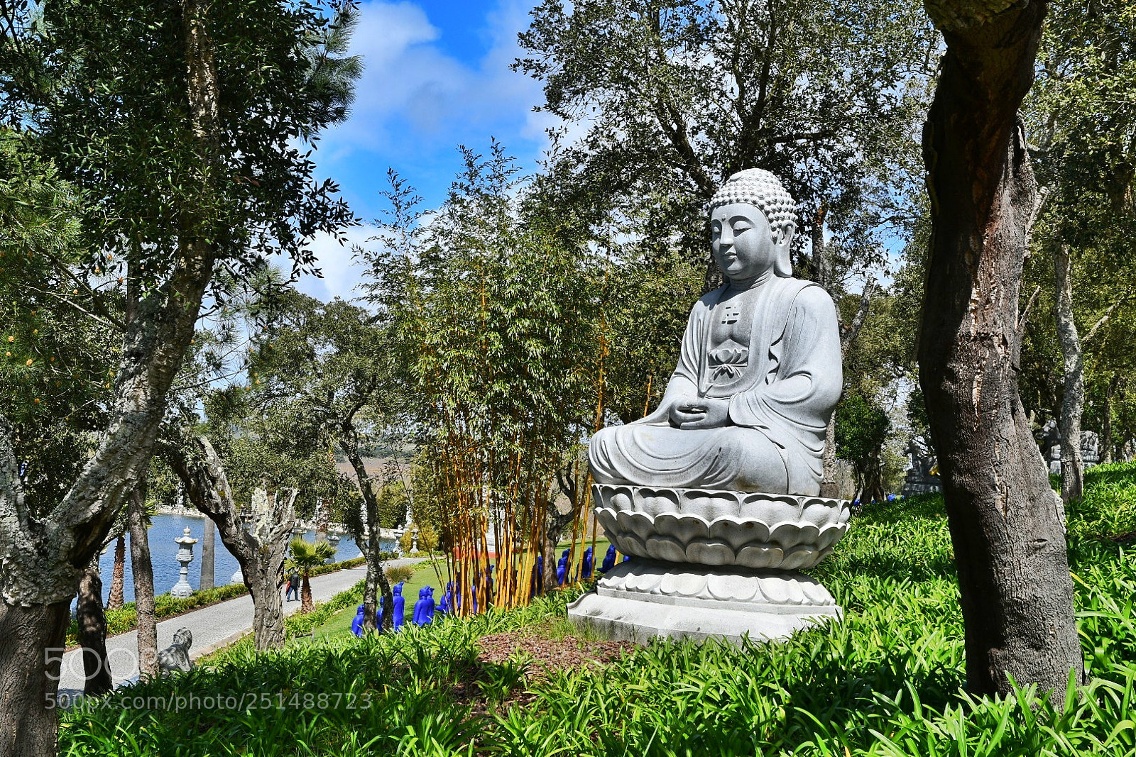 Nikon D7500 sample photo. Untitled photography