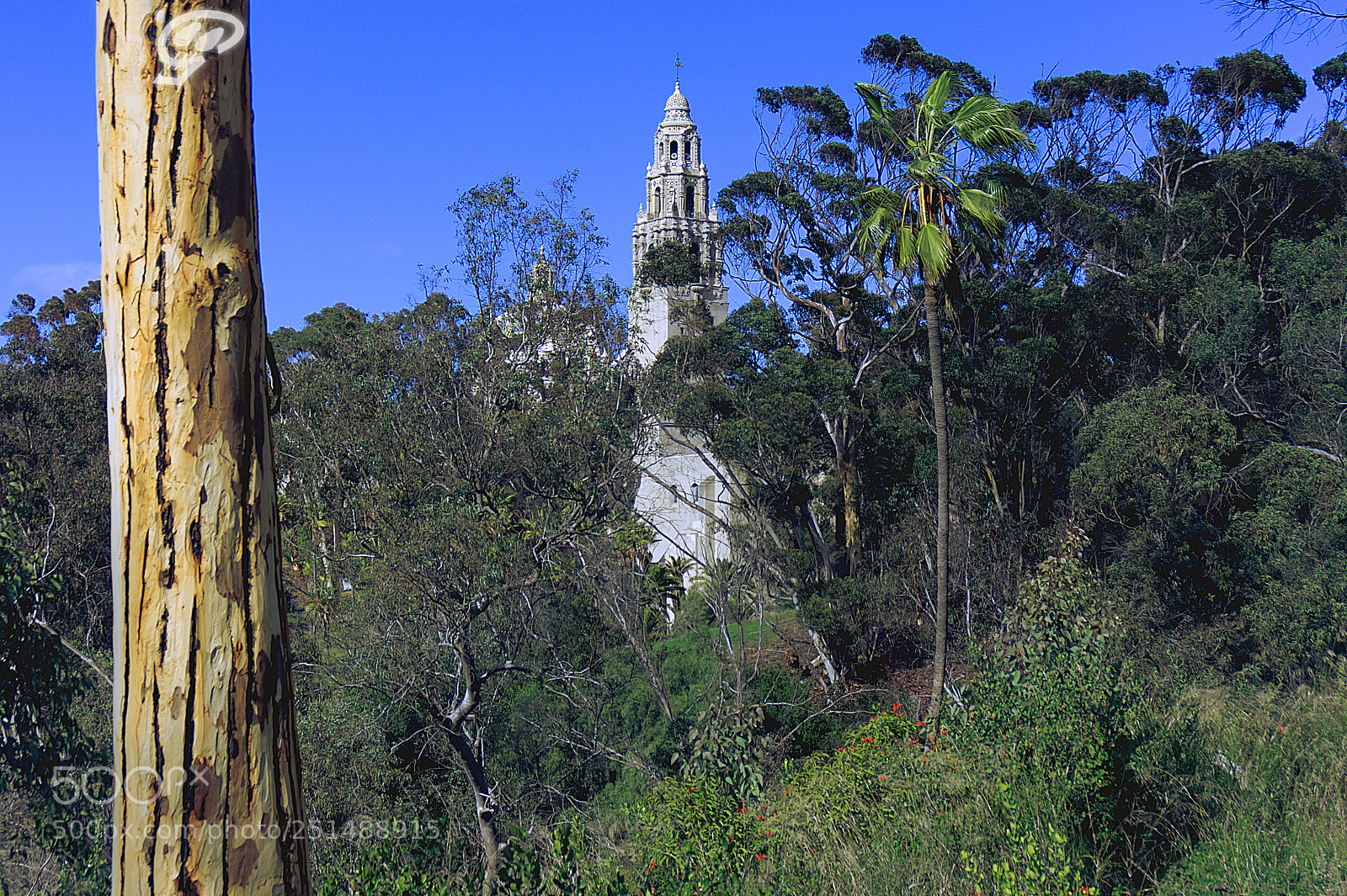 Sony Alpha NEX-6 sample photo. Iglesia photography