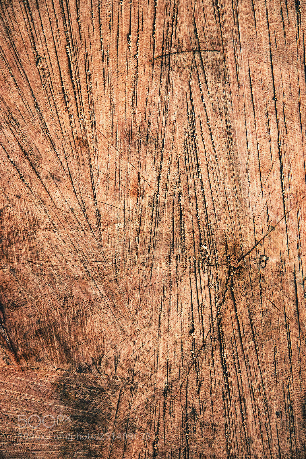 Nikon D5500 sample photo. Texture grooved wooden board photography