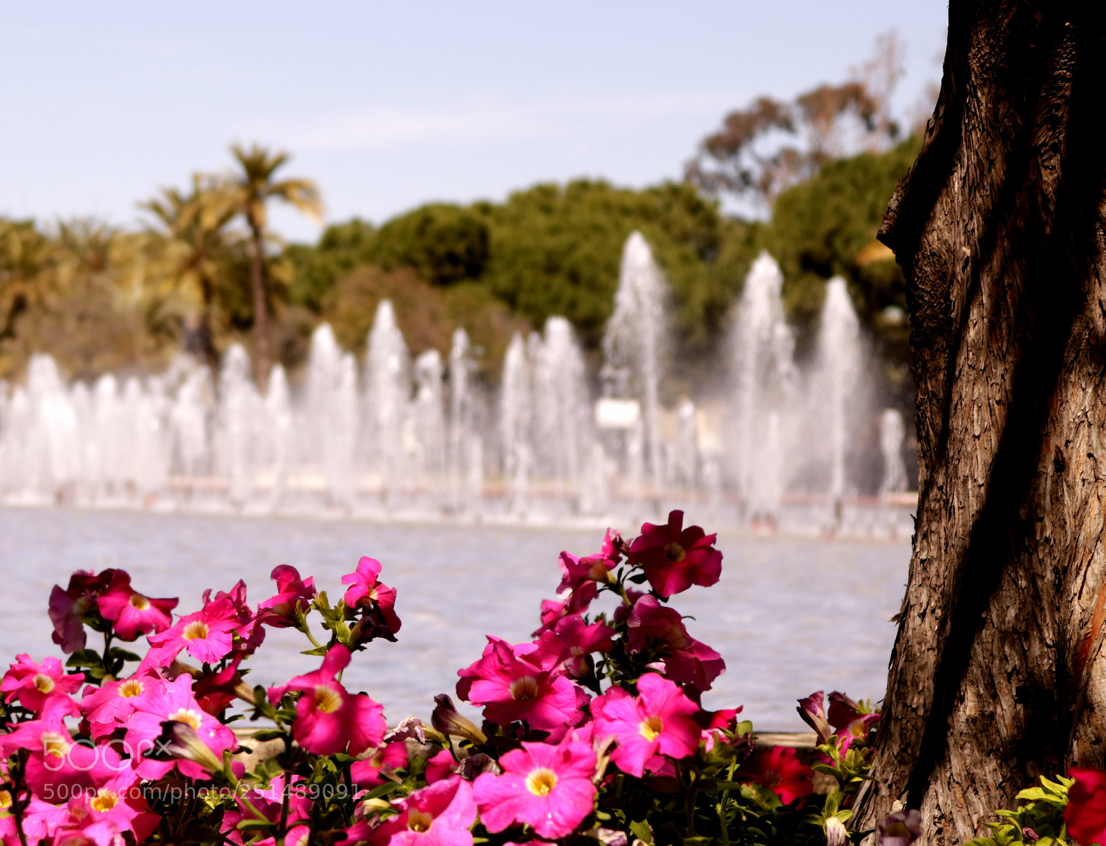 Canon EOS 750D (EOS Rebel T6i / EOS Kiss X8i) sample photo. Río turia. valencia photography