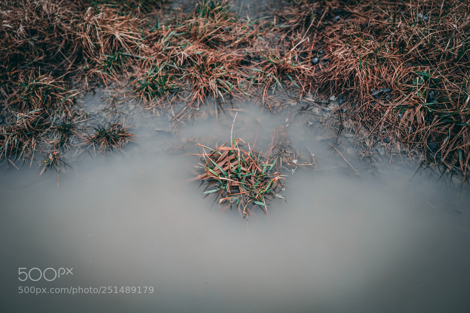Leica Q (Typ 116) sample photo. Puddle isle photography