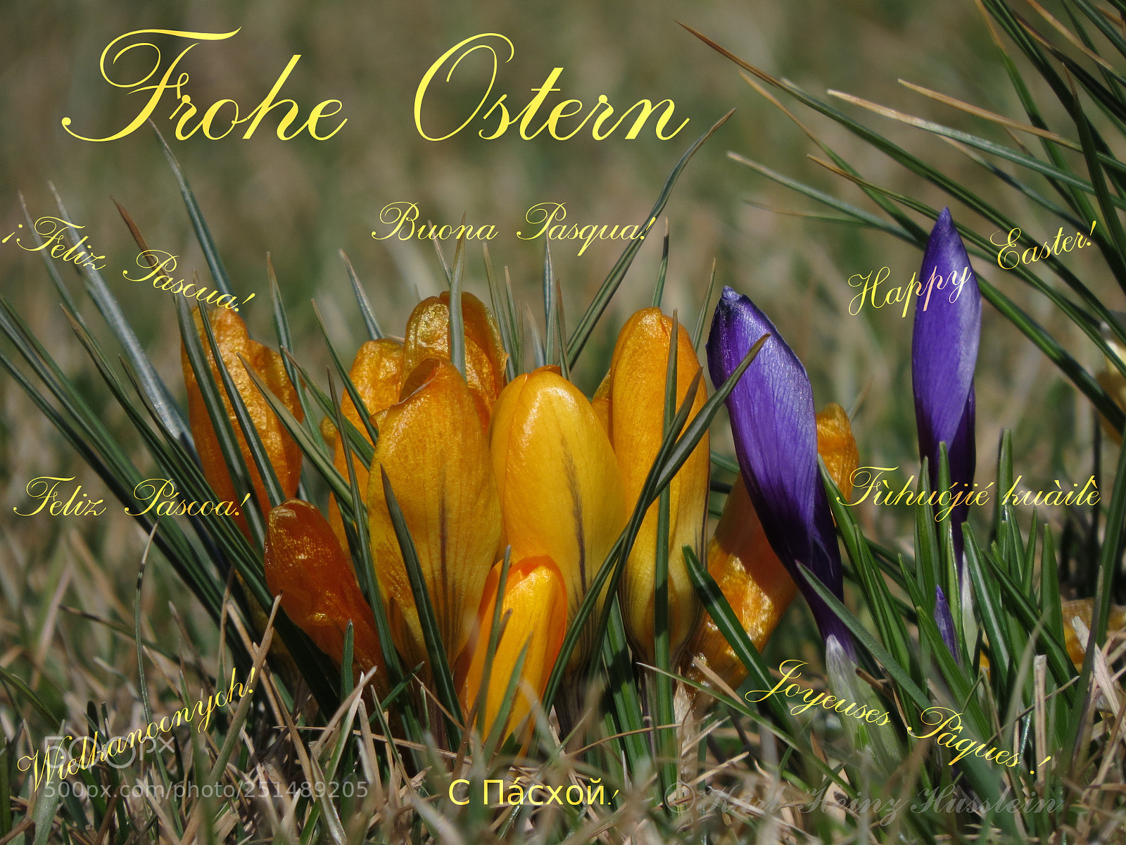 Canon PowerShot SX50 HS sample photo. Frohe ostern photography