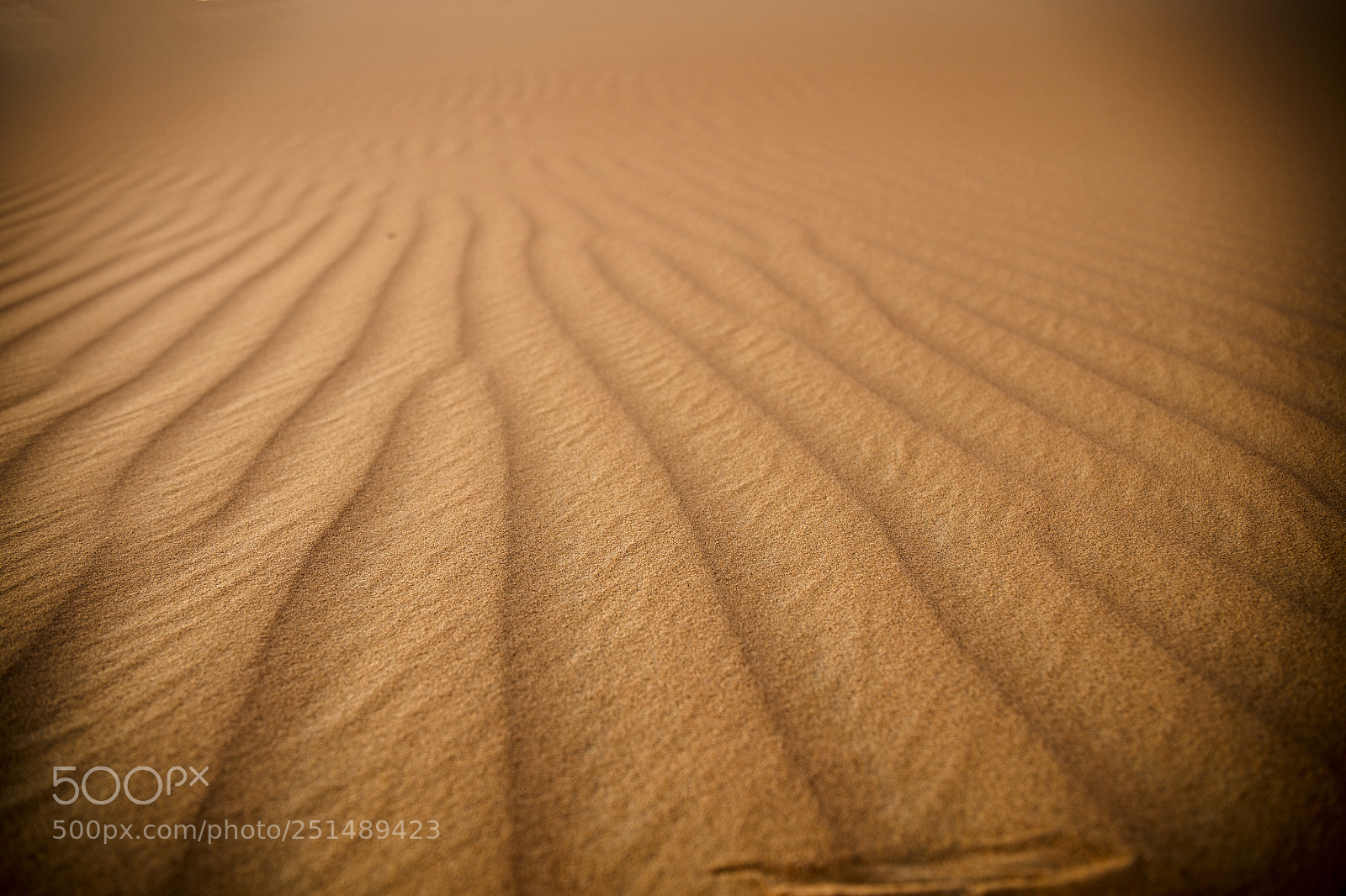 Canon EOS 5DS R sample photo. Sand table photography