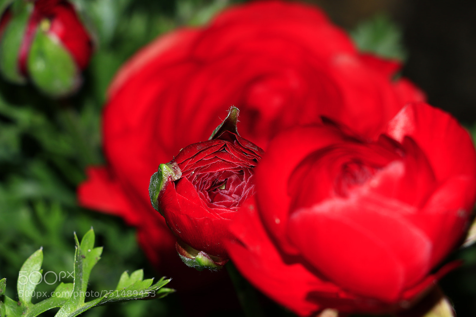 Canon EOS 70D sample photo. Untitled photography