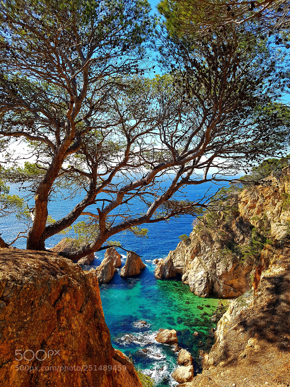 Samsung Galaxy S7 Edge sample photo. Untitled photography