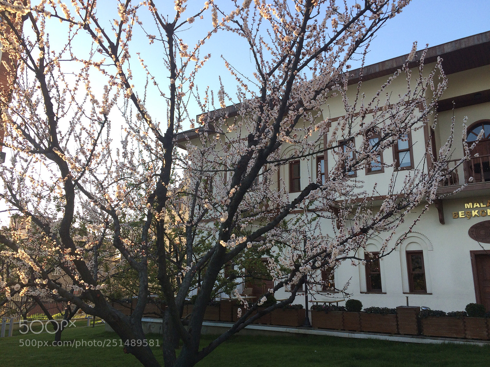 Apple iPhone 5s sample photo. Untitled photography