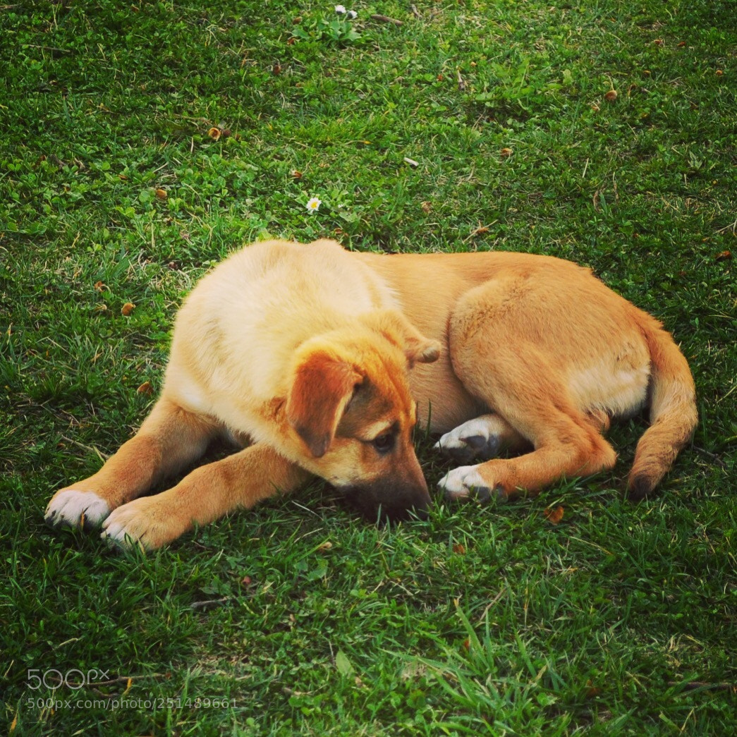 Nikon D5000 sample photo. Cutty photography