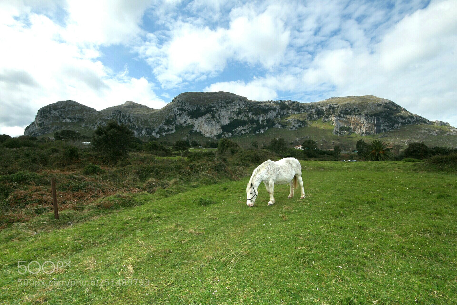 Canon EOS 700D (EOS Rebel T5i / EOS Kiss X7i) sample photo. Solo y tan feliz. photography