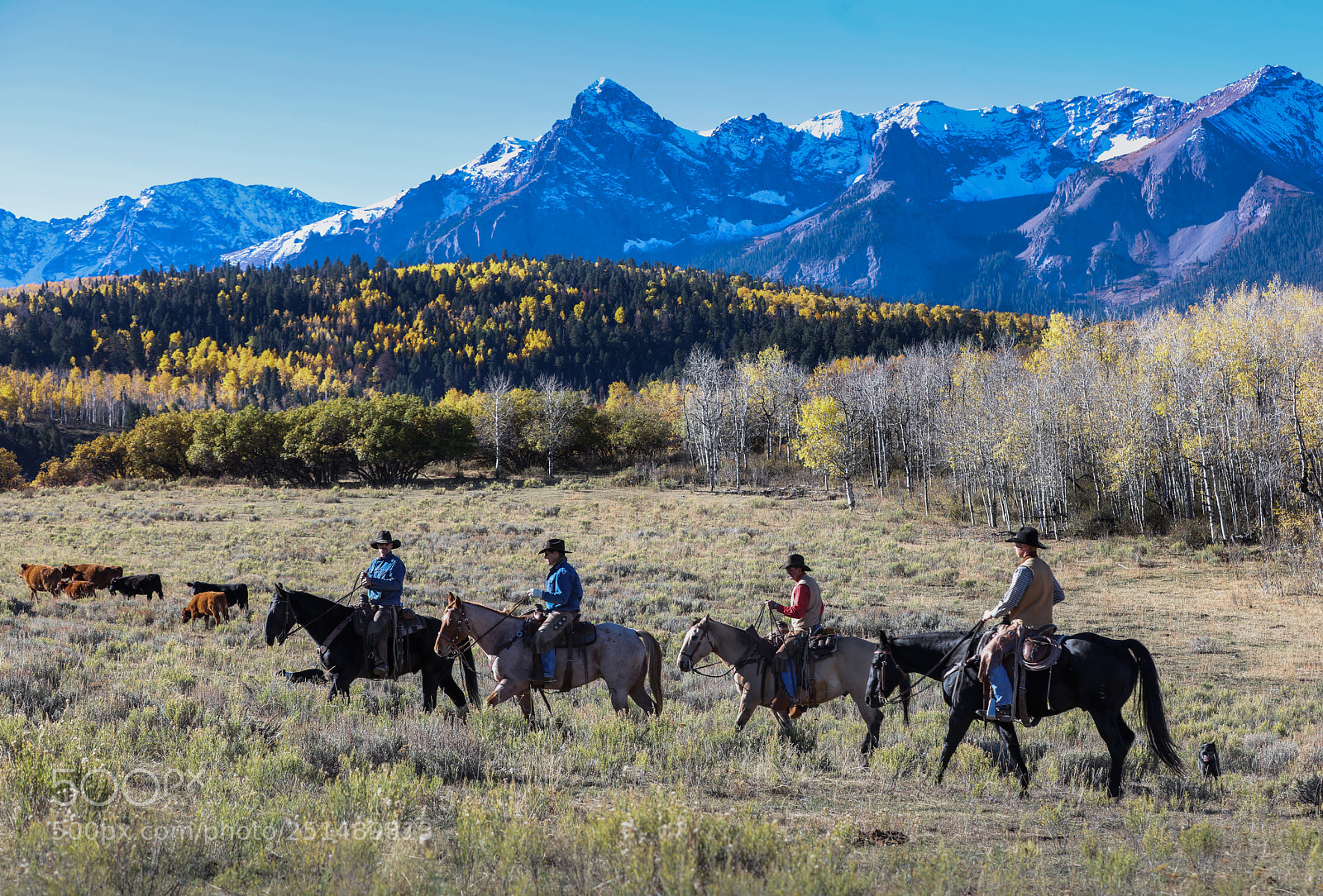 Canon EOS 5DS R sample photo. Cowboy's in ridgway, colorado photography