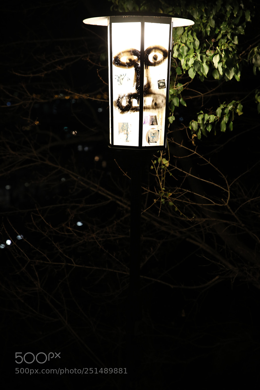 Canon EOS 5D Mark IV sample photo. Untitled photography