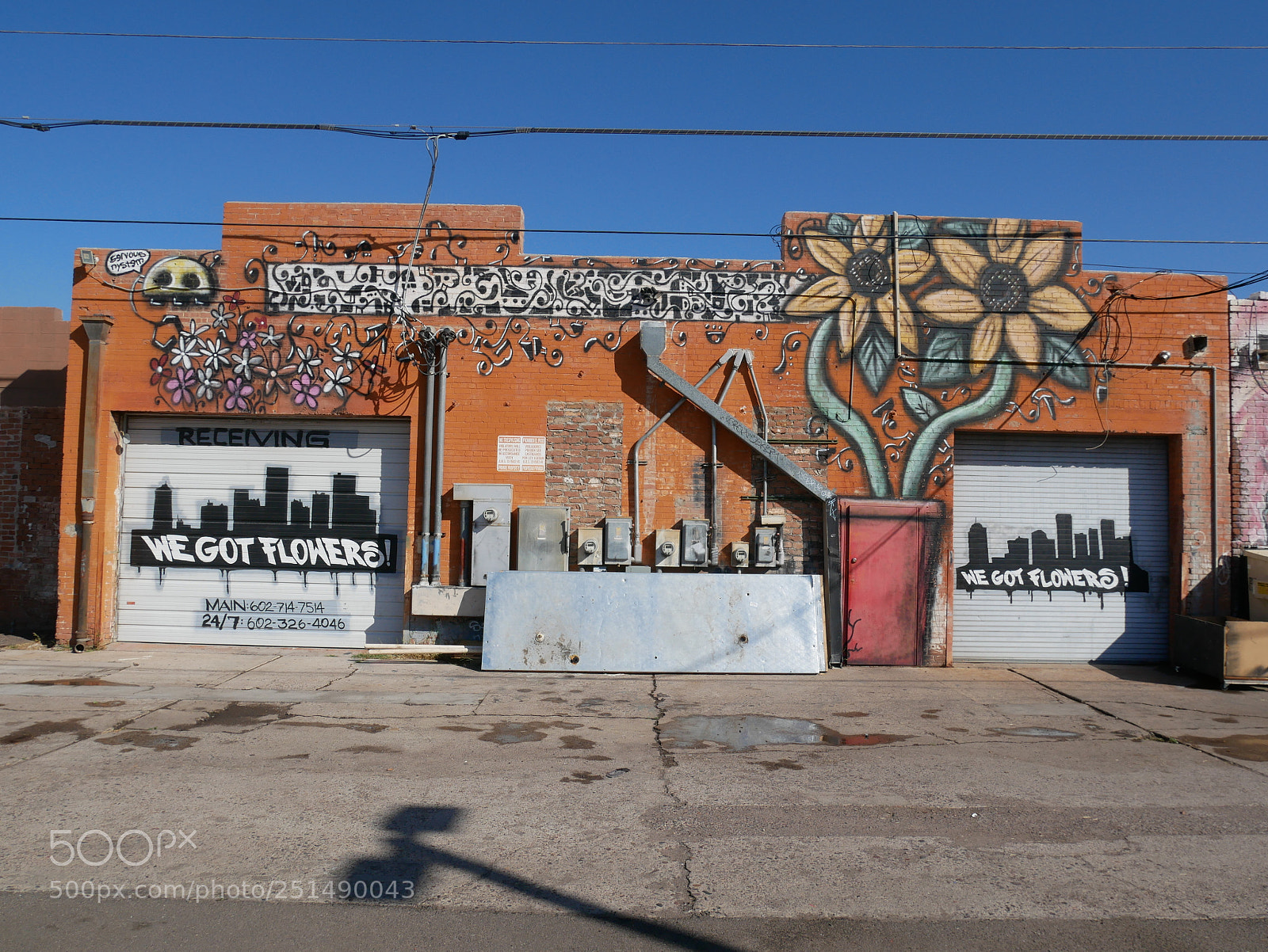 Panasonic Lumix DMC-GX85 (Lumix DMC-GX80 / Lumix DMC-GX7 Mark II) sample photo. Phoenix street art photography