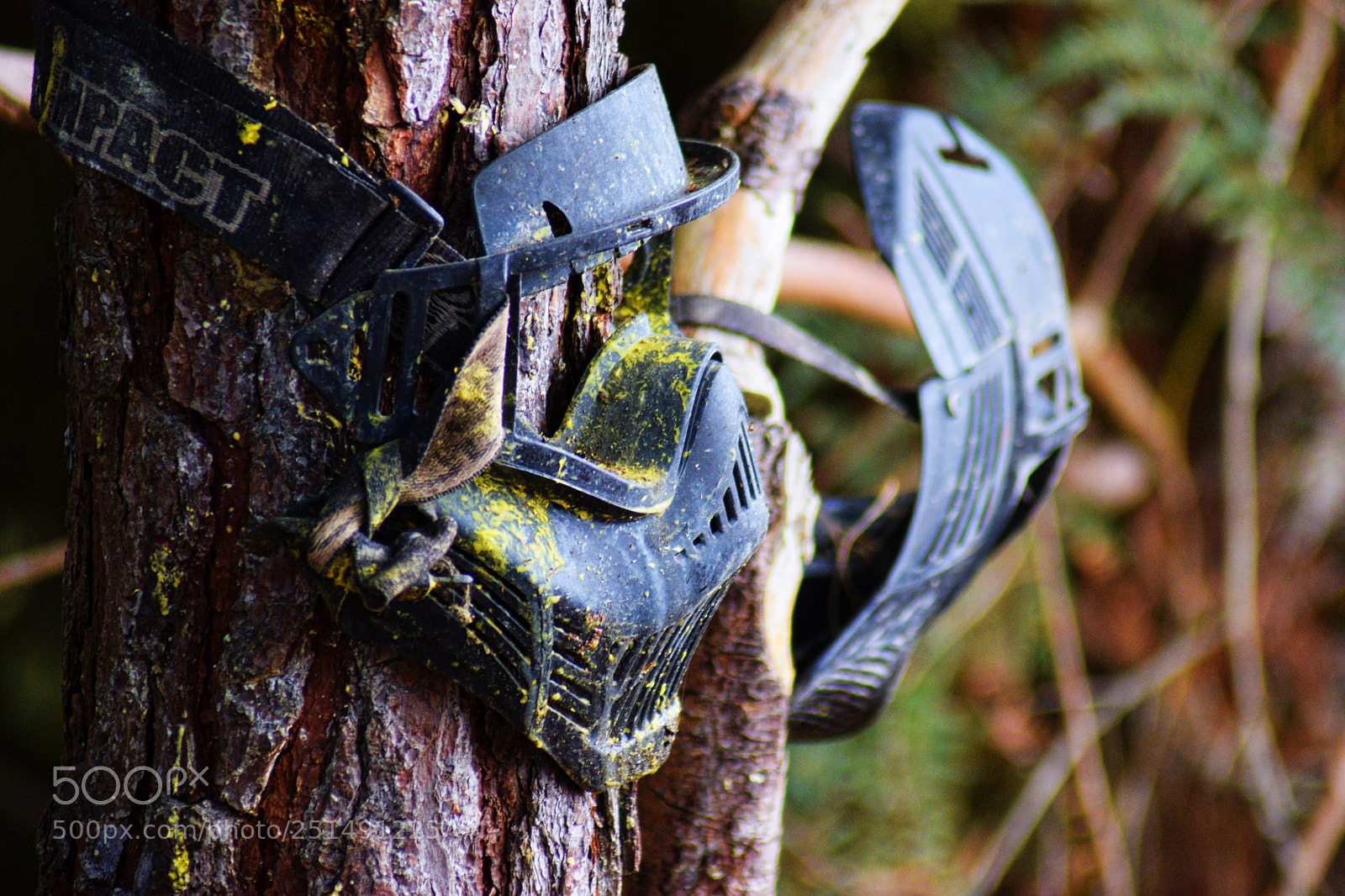 Nikon D3300 sample photo. Game over photography