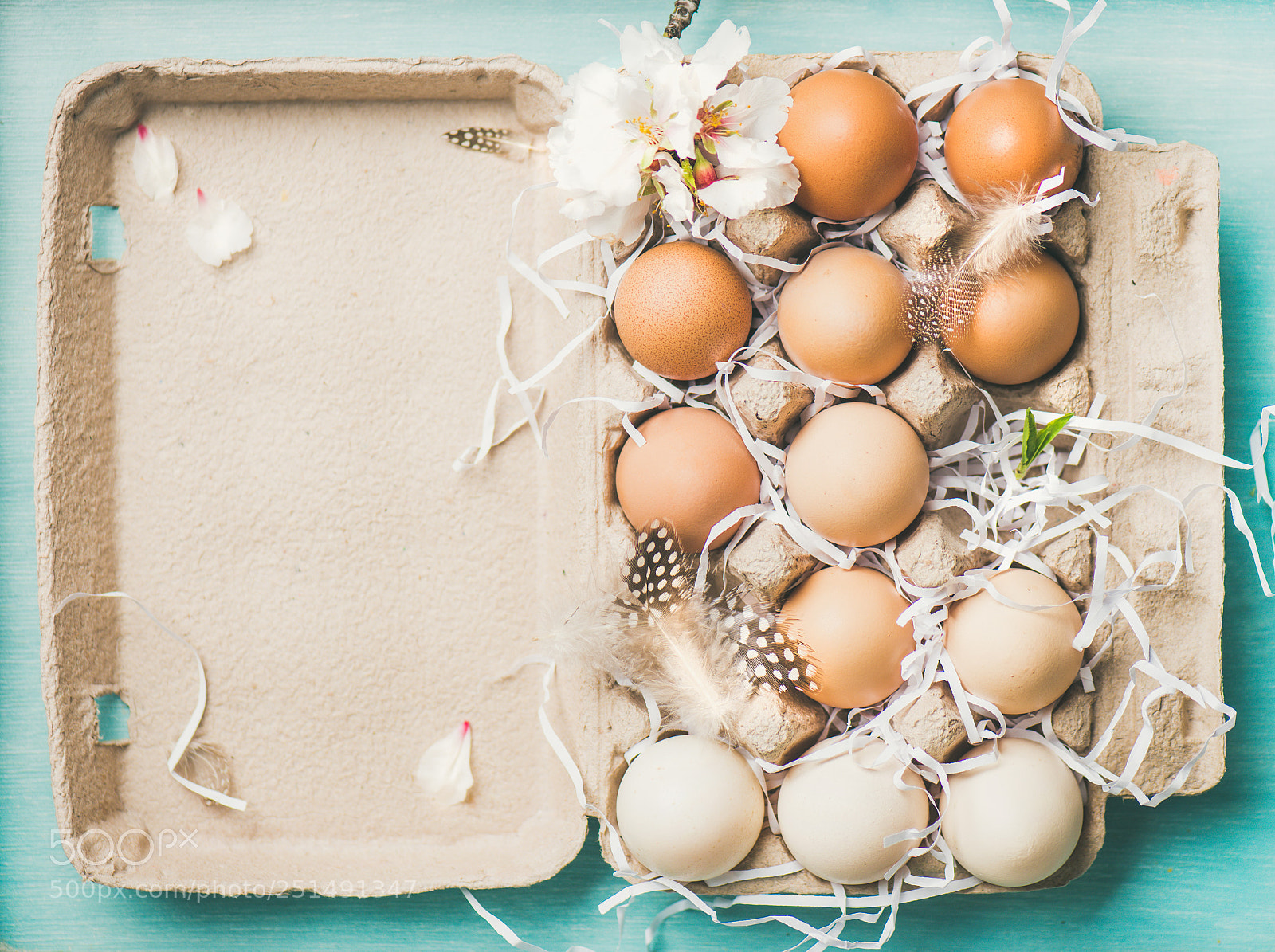 Nikon D610 sample photo. Natural colored eggs for photography