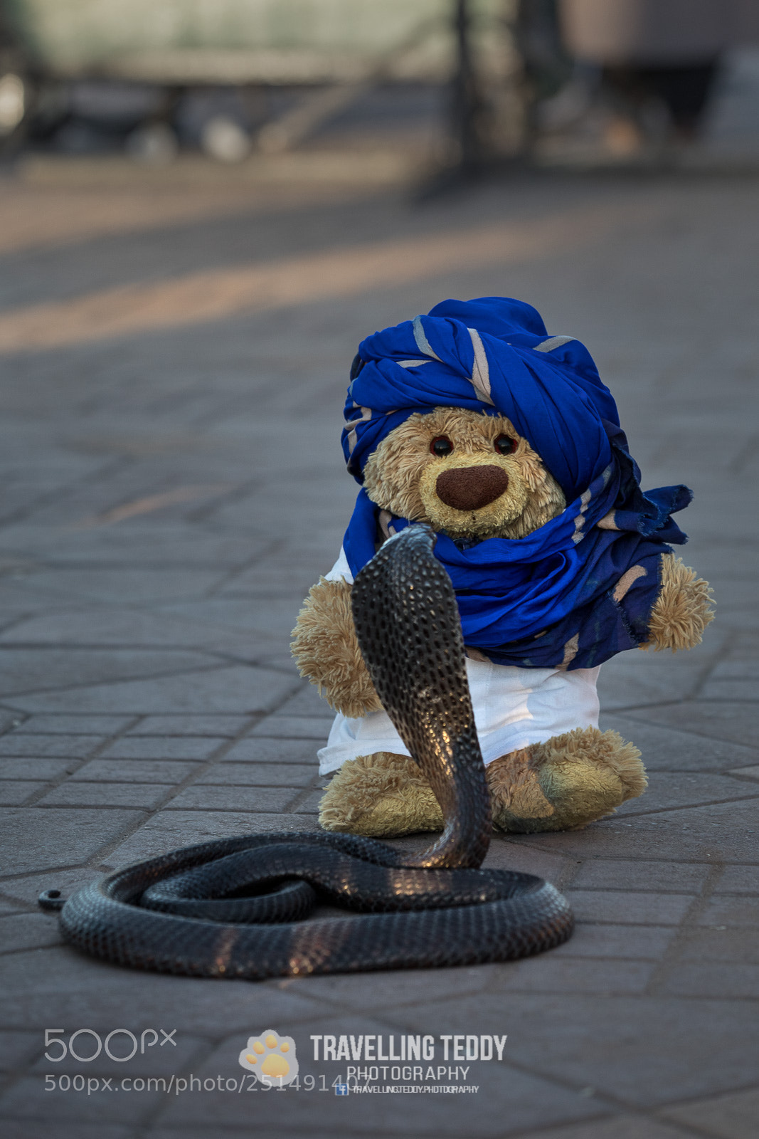 Canon EOS 5D Mark IV sample photo. Teddy & snake photography