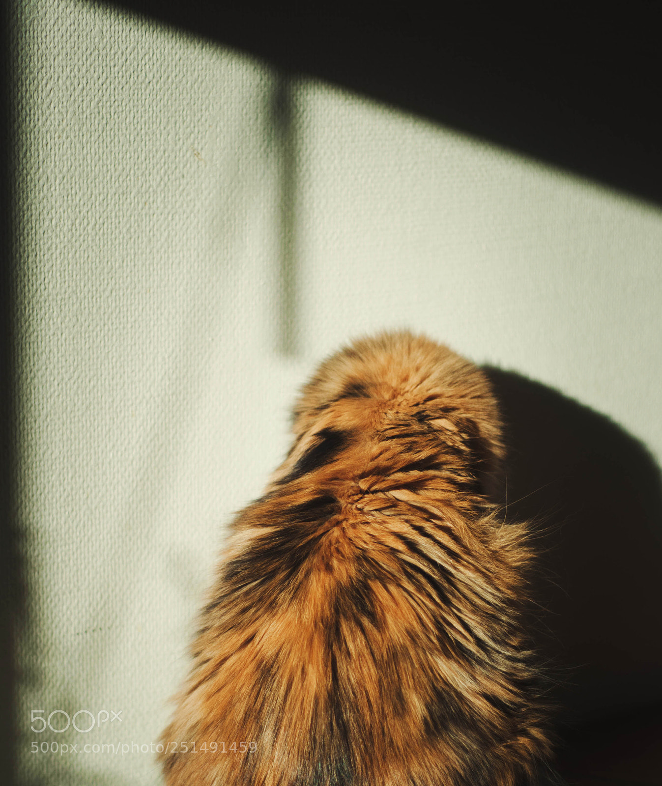 Nikon D90 sample photo. Indra #3 photography