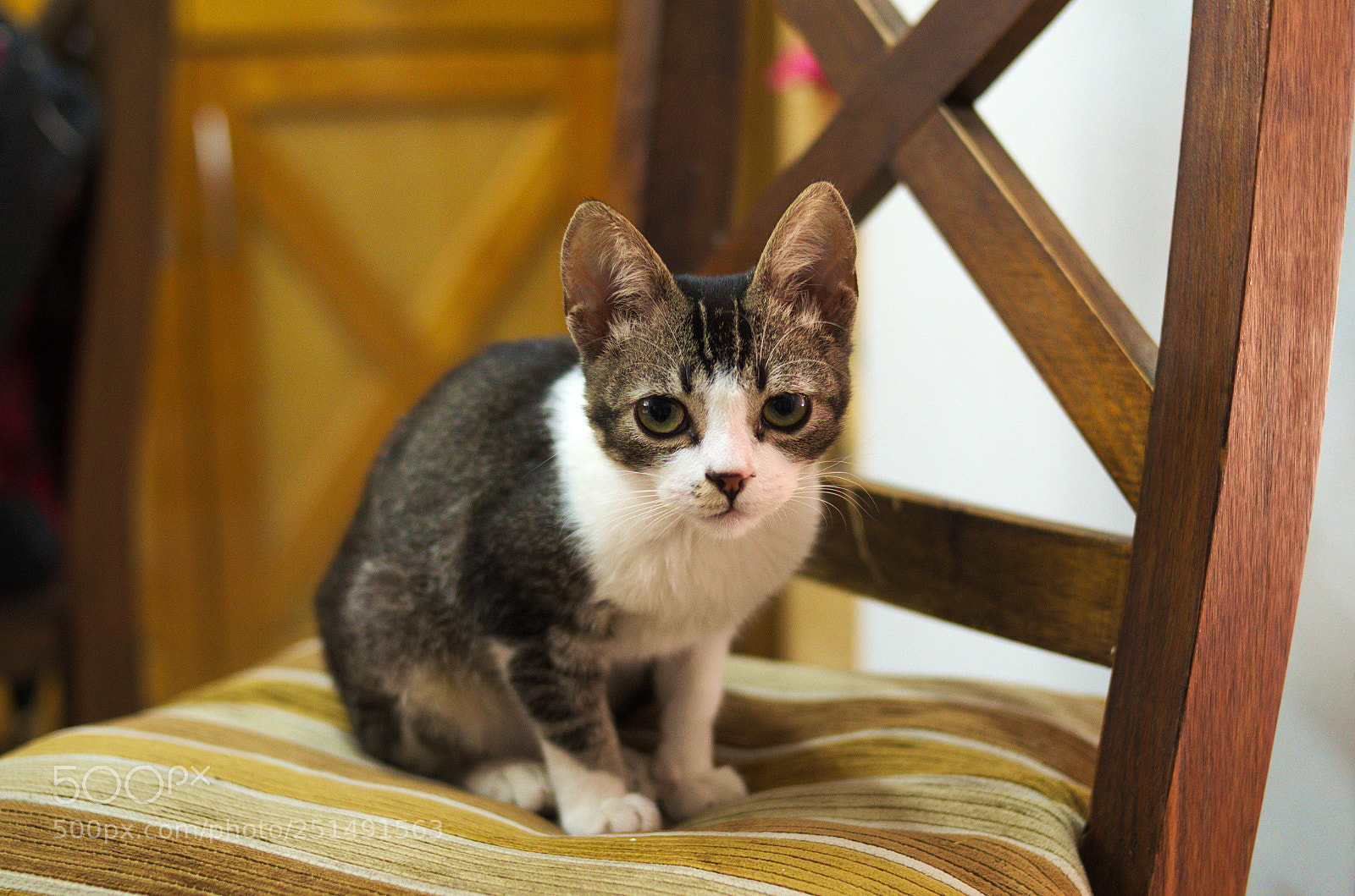 Nikon D5100 sample photo. Neptuno photography
