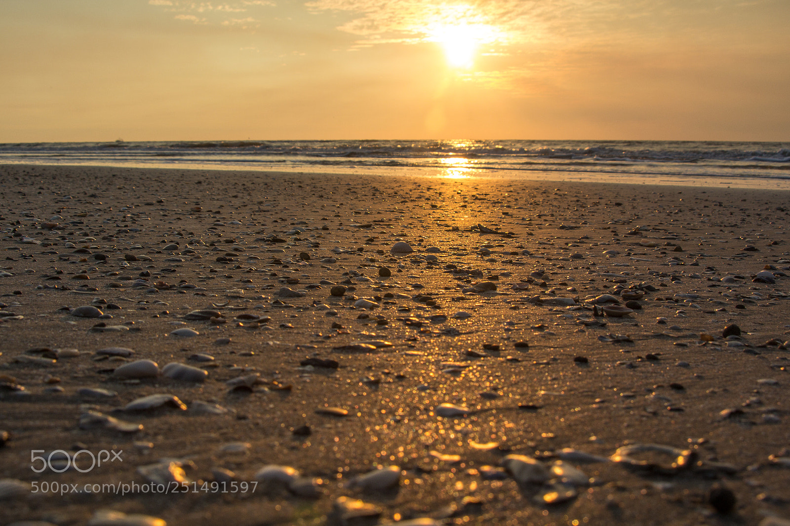Canon EOS 60D sample photo. Seashells by the seashore photography