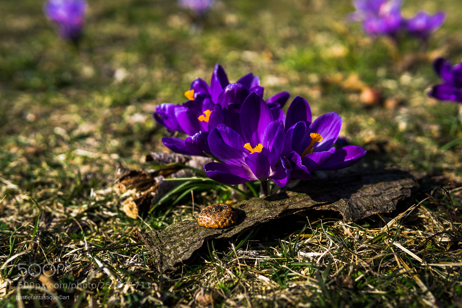 Sony a6000 sample photo. Osterwetter photography