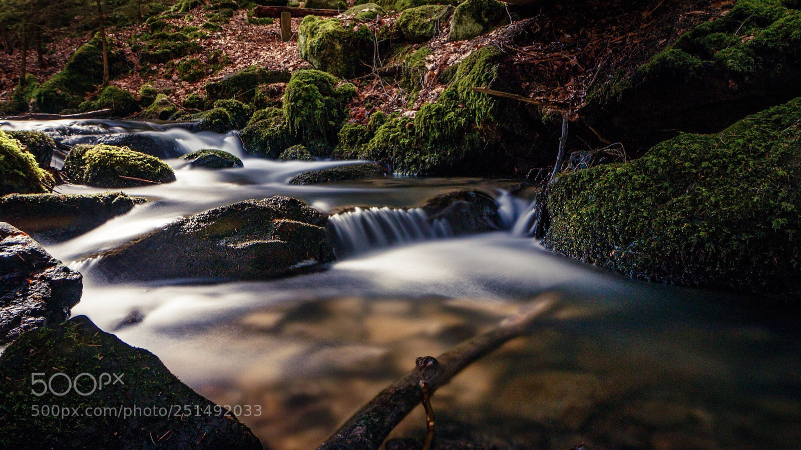 Canon EOS 80D sample photo. Silberbachtal photography
