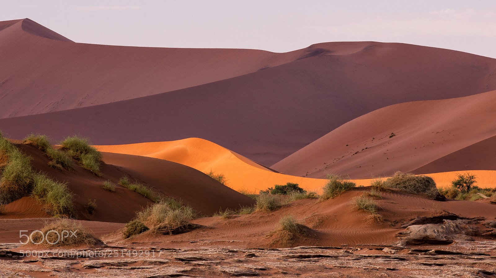 Nikon D850 sample photo. Light on dune, namibia photography