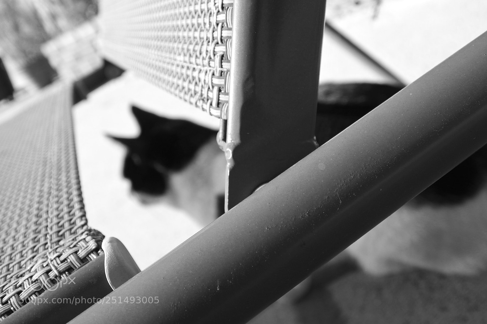 Nikon 1 J5 sample photo. Beneath the chair photography