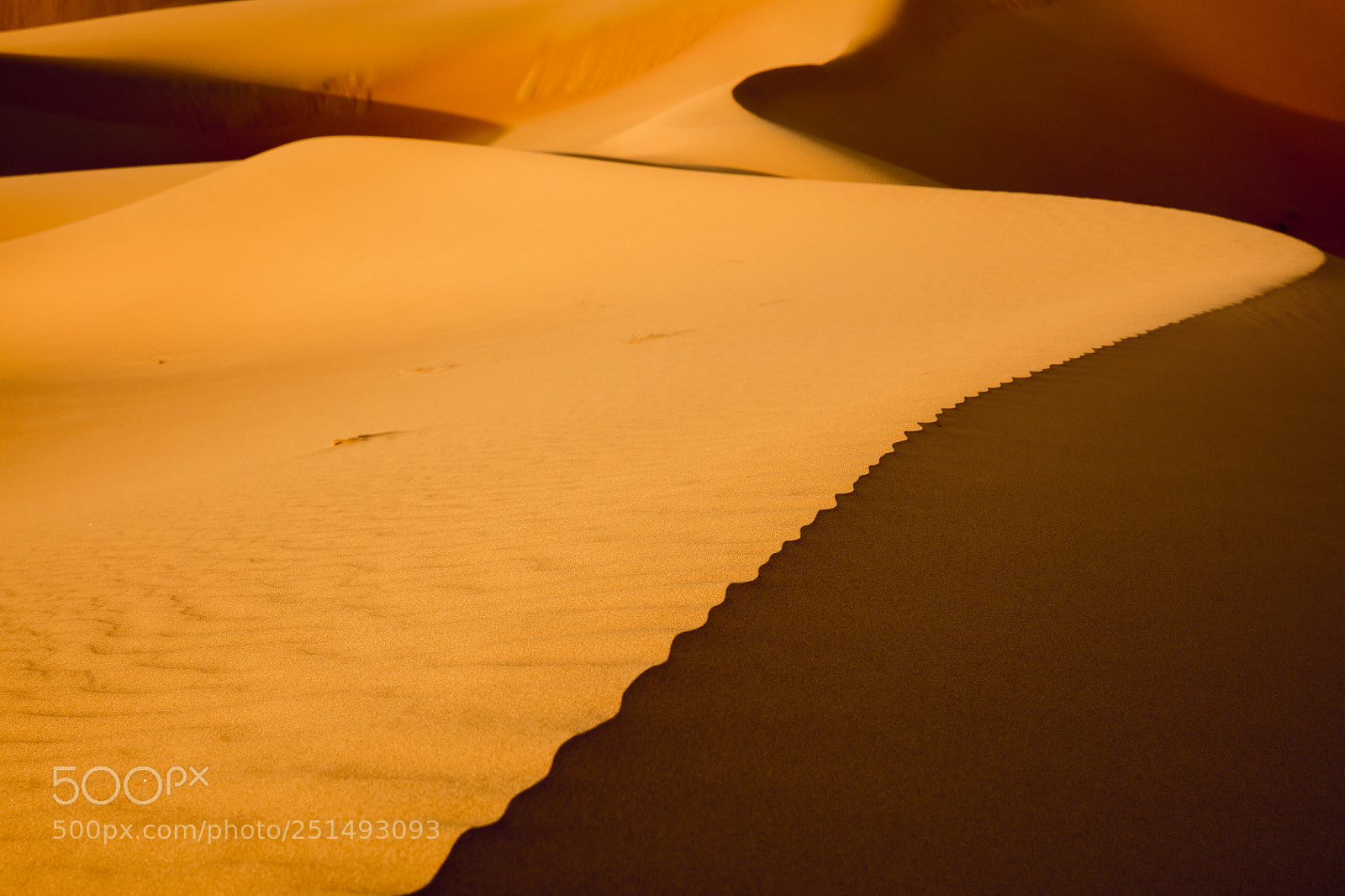 Canon EOS 5DS R sample photo. Sand with lines photography
