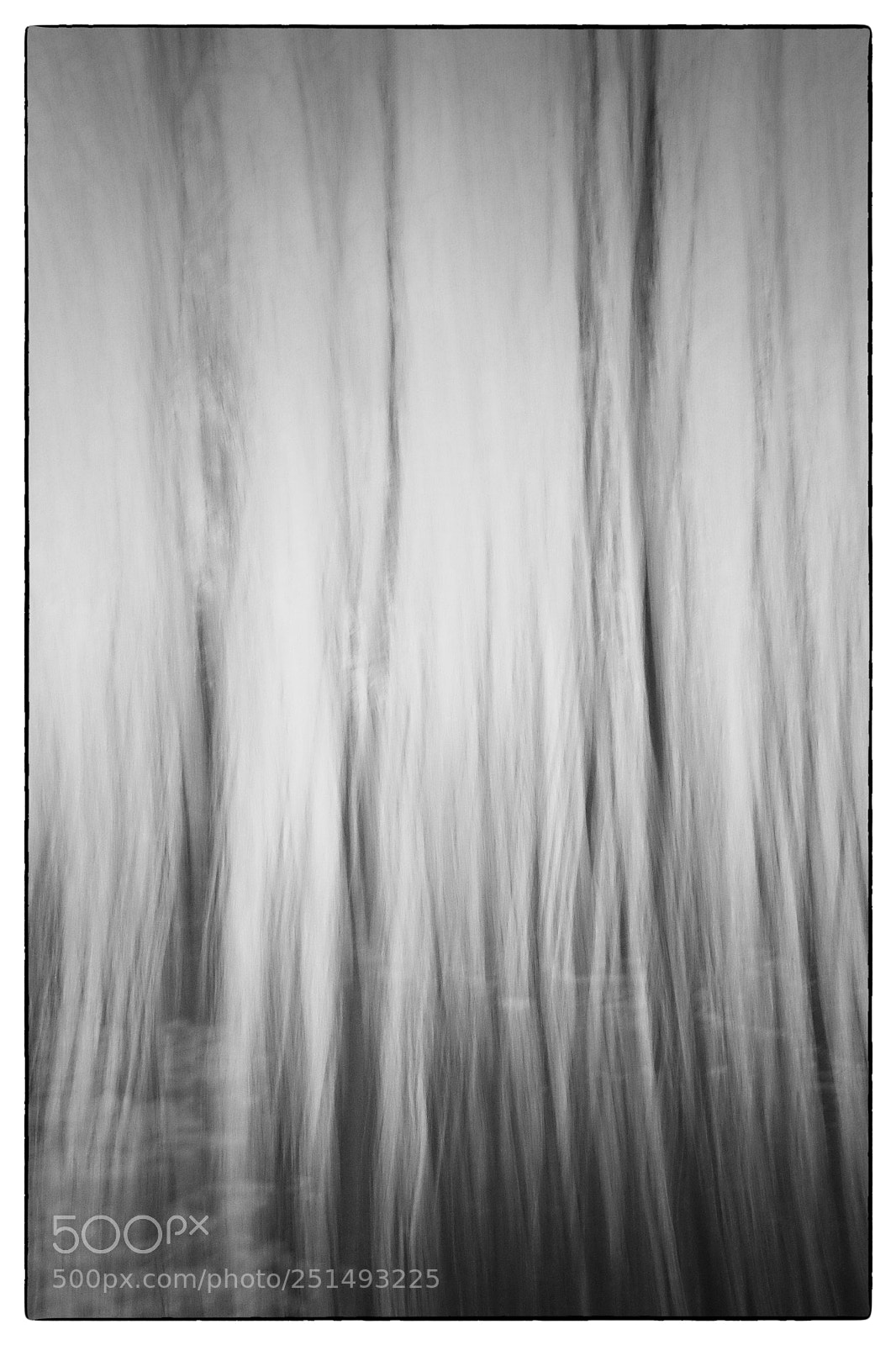 Fujifilm X100S sample photo. Evening motion trees i photography