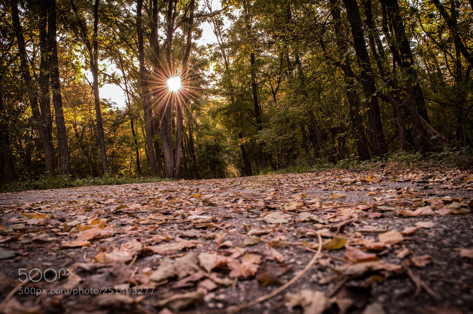 Nikon D3200 sample photo. Bt photography