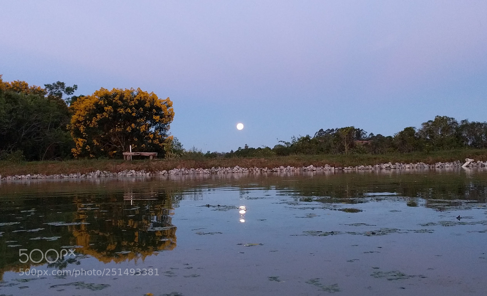 LG Nexus 5X sample photo. Moon rising over pond photography