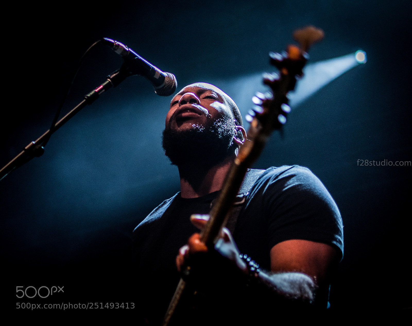 Nikon D500 sample photo. Bass player photography
