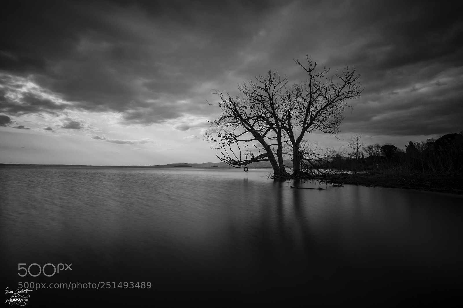 Fujifilm X-T1 sample photo. Black and white nature photography