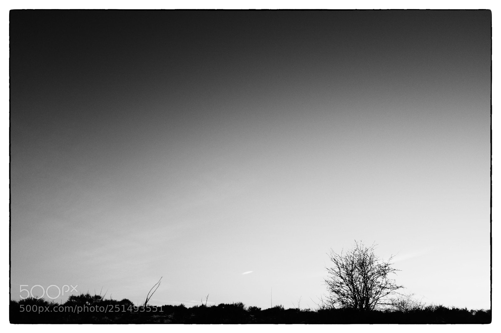 Fujifilm X100S sample photo. Starup hede i photography