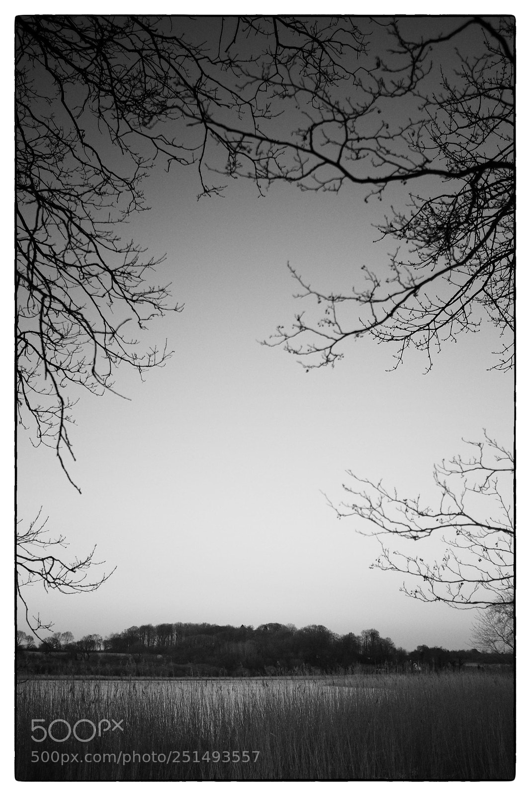Fujifilm X100S sample photo. Starup hede iii photography