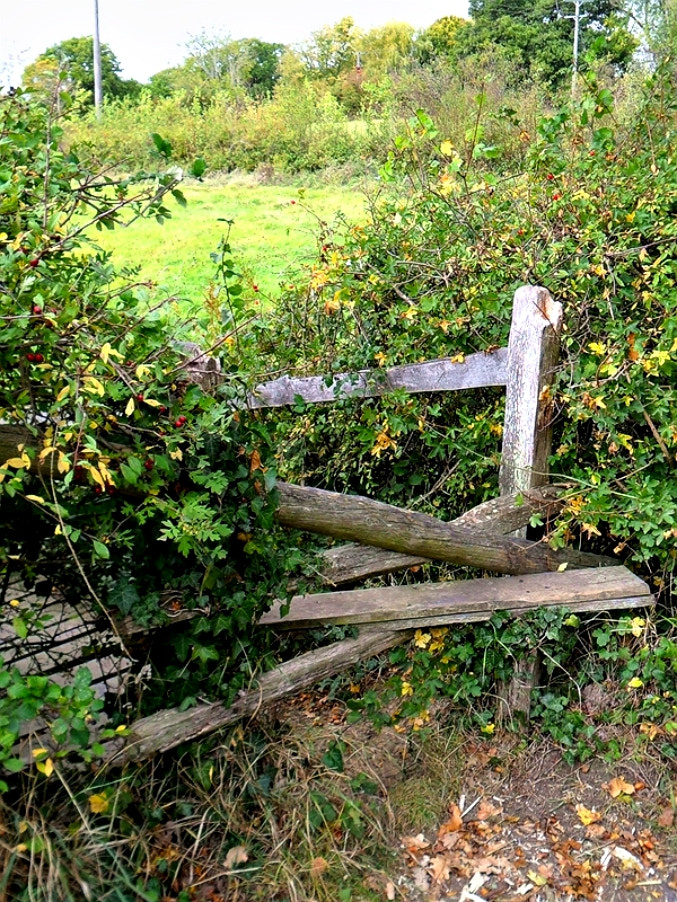 Samsung ES65, ES67 / VLUU ES65, ES67 /  SL50 sample photo. Footpath stile photography