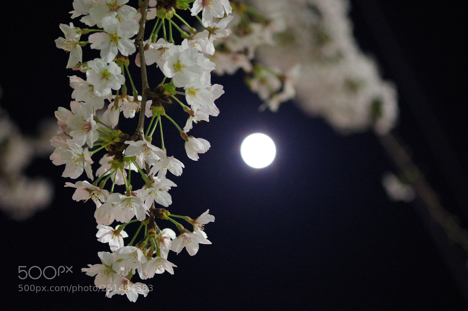 Pentax K-70 sample photo. Untitled photography