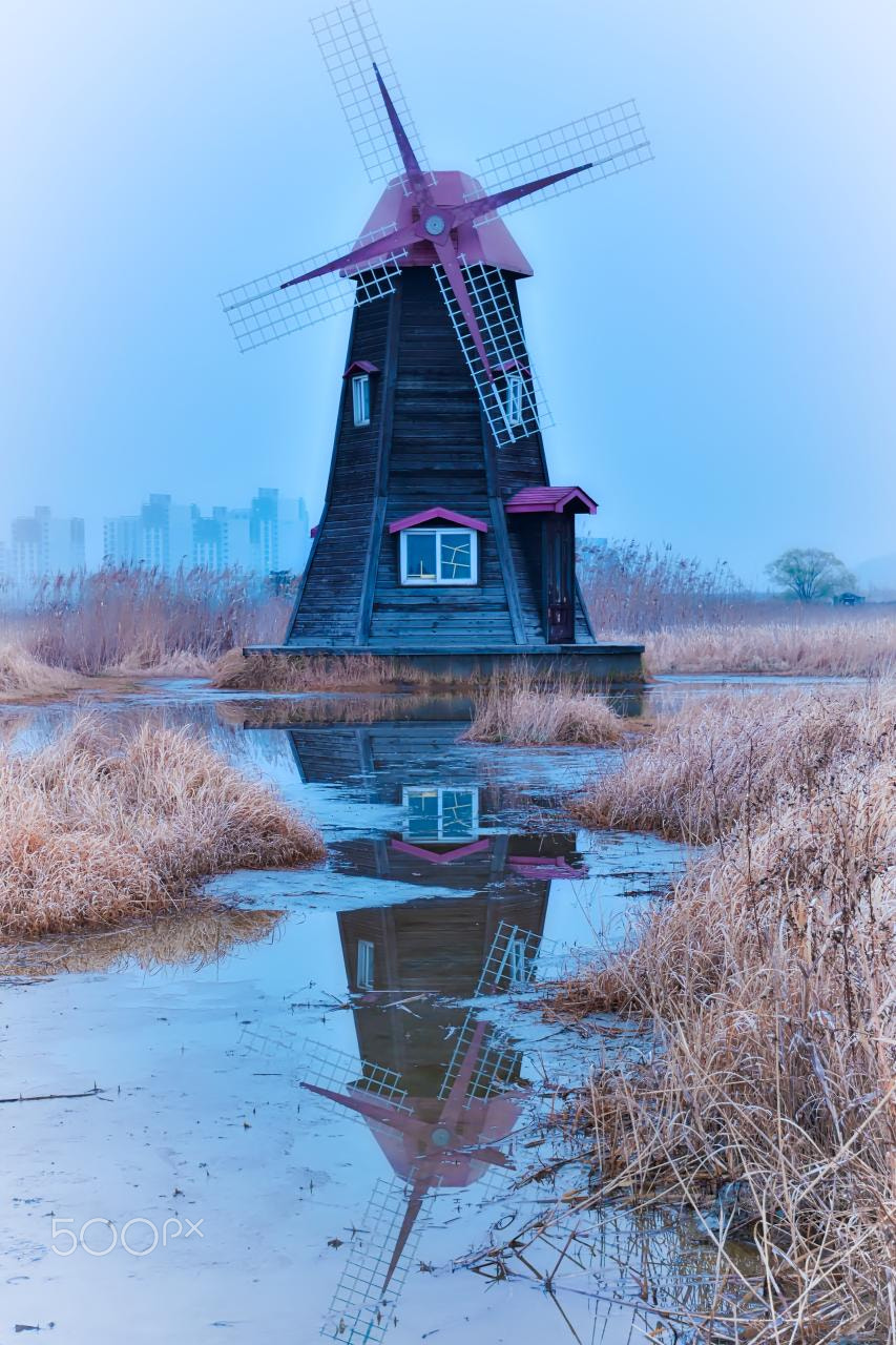 Nikon D5500 sample photo. Reflection photography