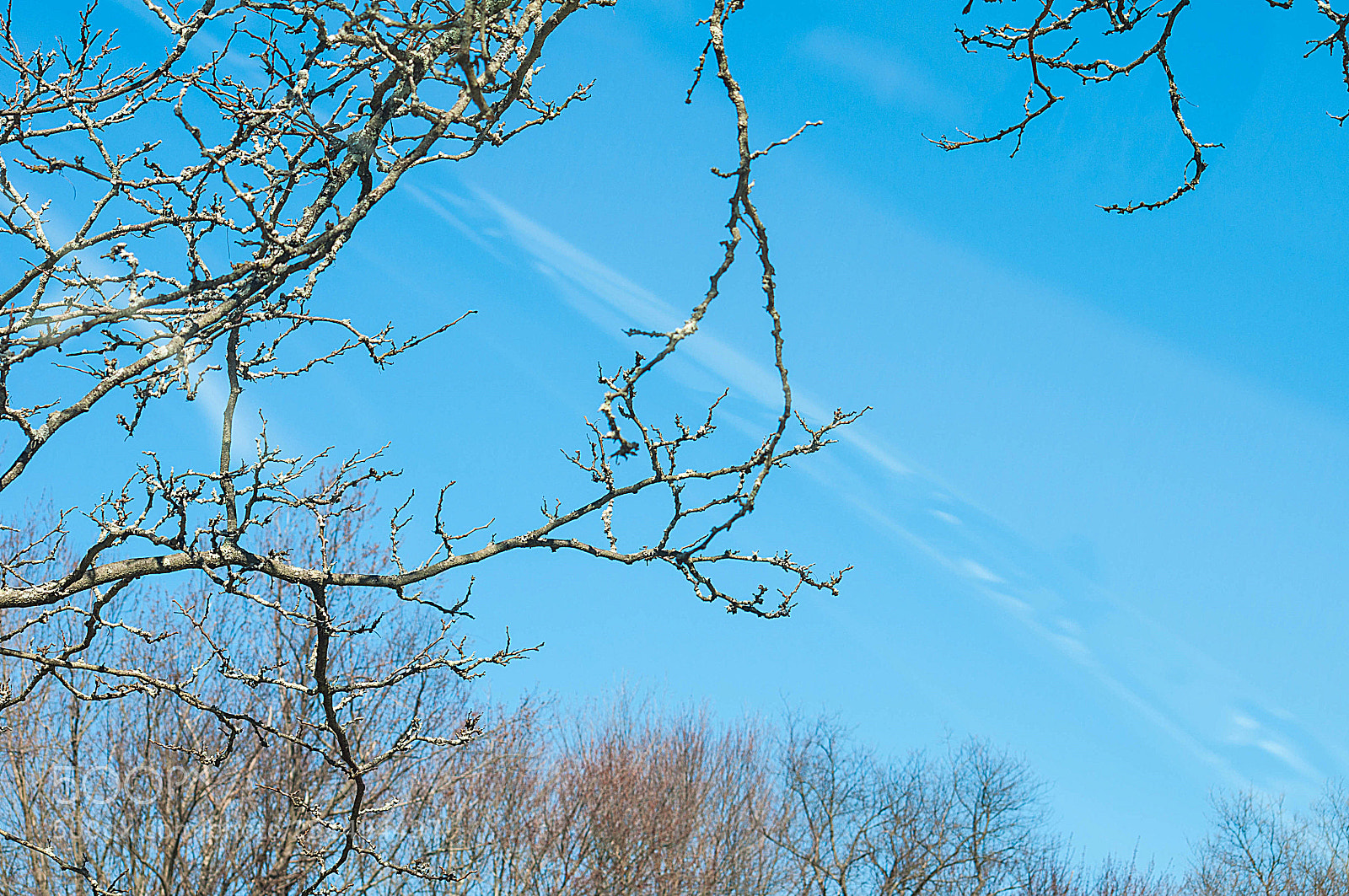 Nikon D5000 sample photo. Untitled photography