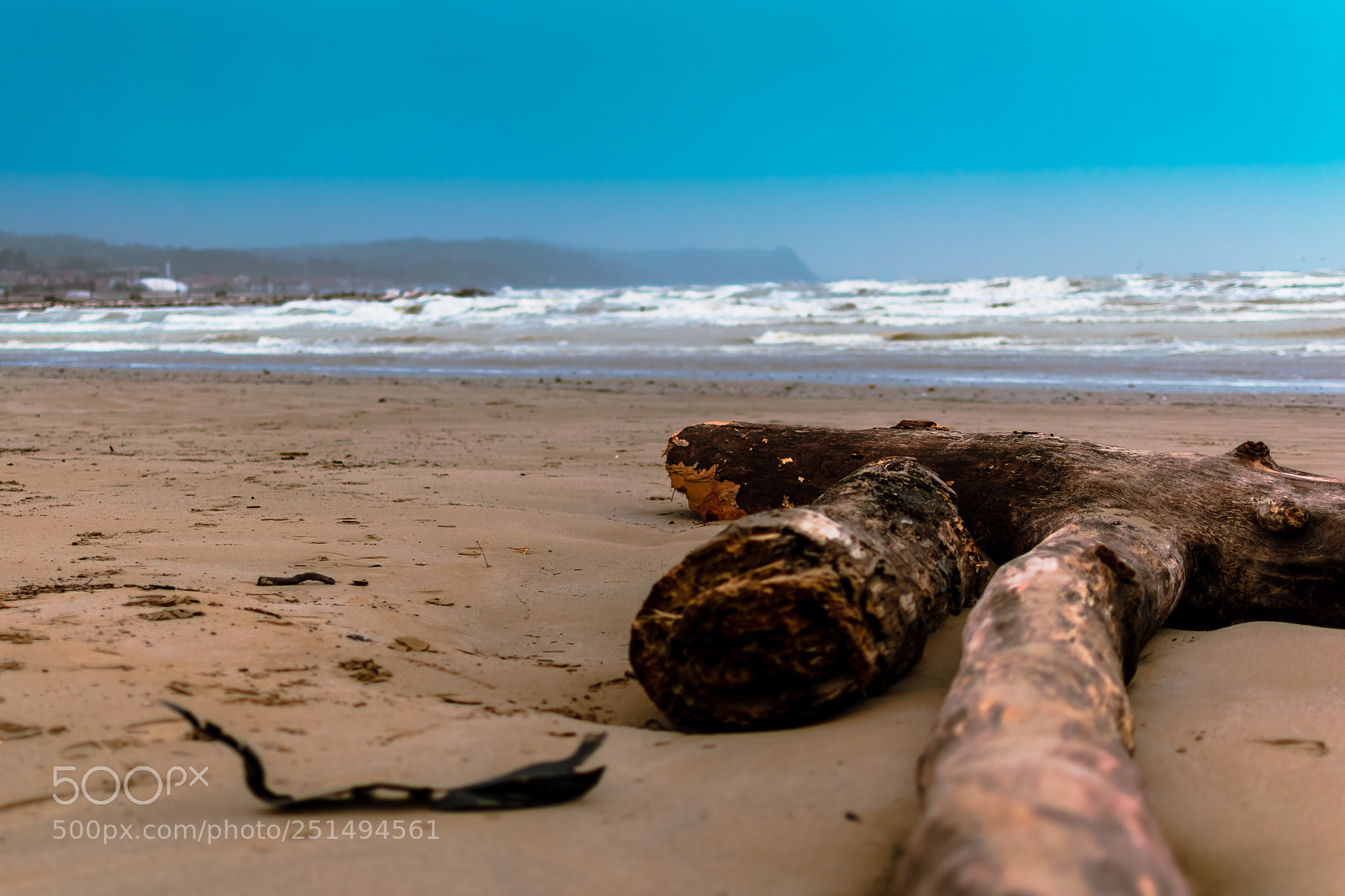 Nikon D5500 sample photo. Winter in fano photography