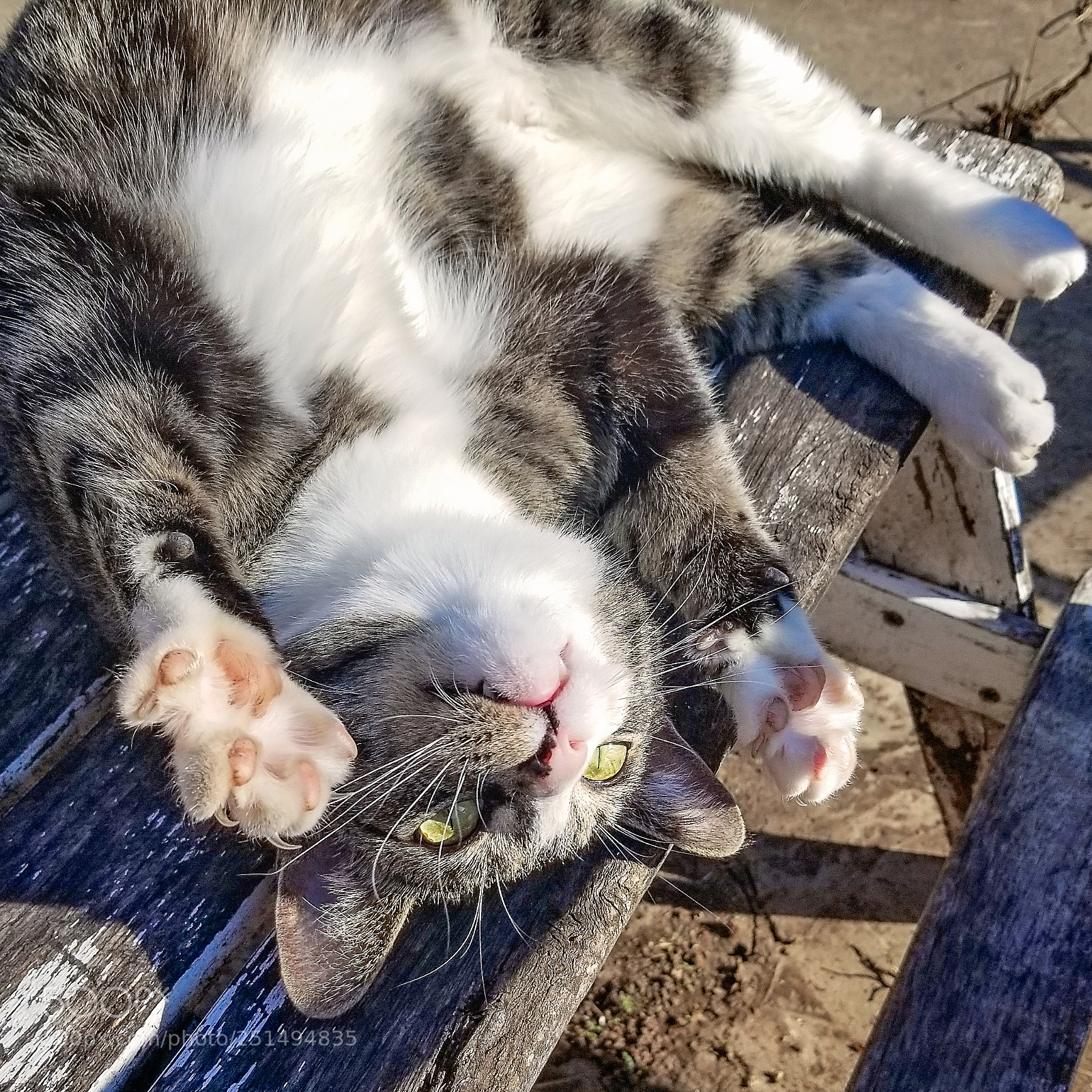Samsung Galaxy S8+ sample photo. Jazz hands photography