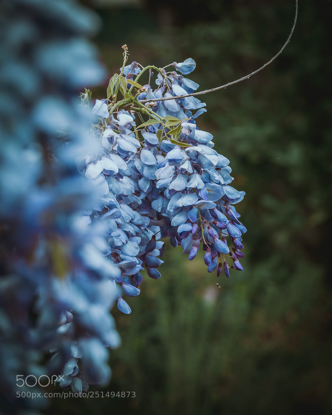 Nikon D7100 sample photo. Naturaleza photography