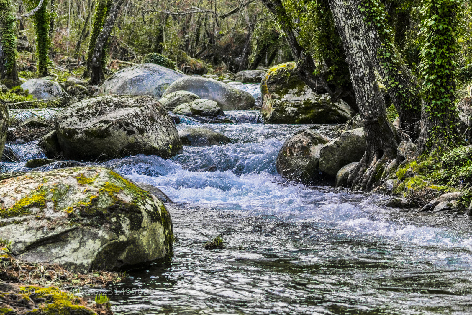 Nikon D3300 sample photo. Pura vida photography
